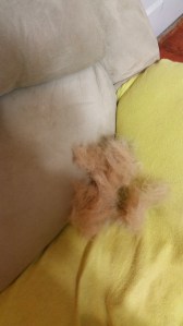 So much fur came out while brushing. And it's she more is still falling off when I touch her. 