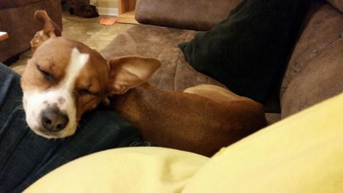 Tori is an angel when she's sleeping